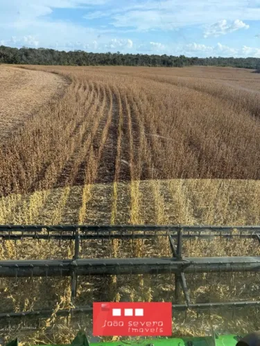 Fazenda para Venda em Tasso Fragoso