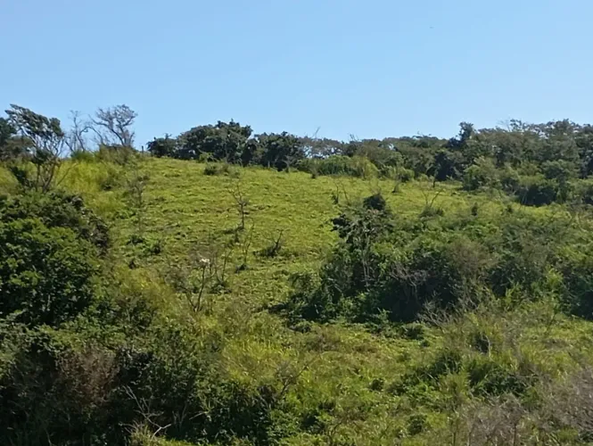 Vendo lote em Cabo Frio, próximo a praia do Peró