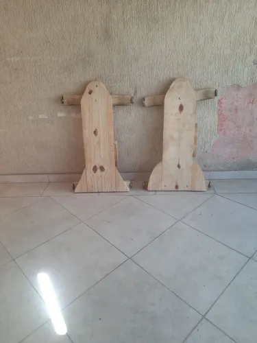 2 carrinhos de rolimã