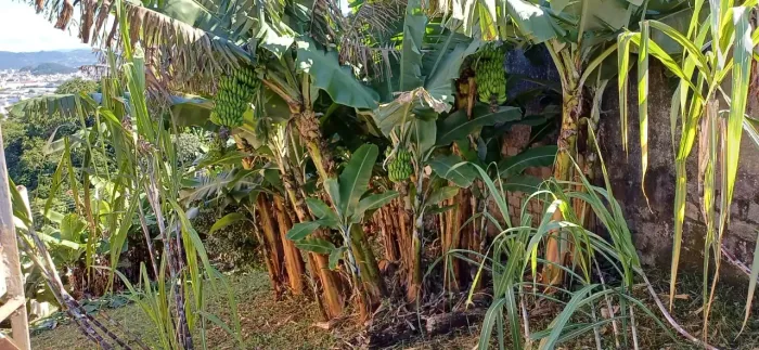 Terreno de 390m² no centro histórico de São José
