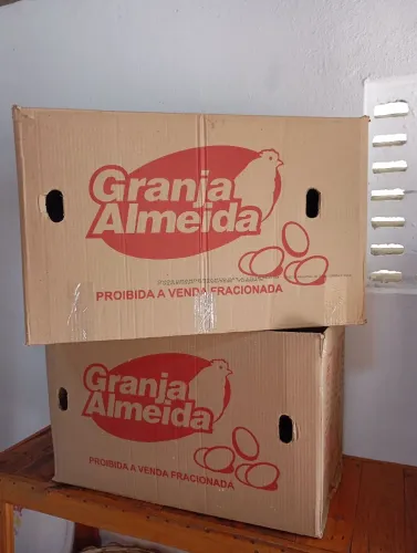 Caixa de papelão GRANDE