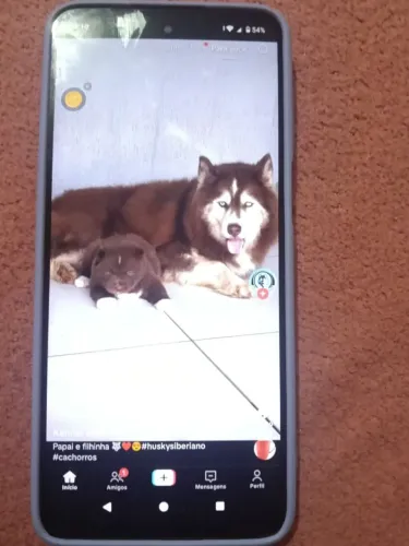 Vendo meu cllr moto g14, comprei outro cllr por isso estou vendendo, bateria ok, 128 gb