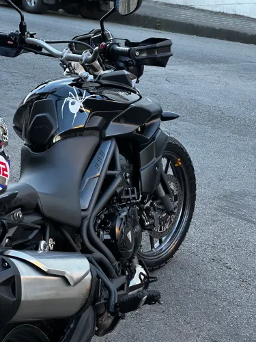 Tiger 800