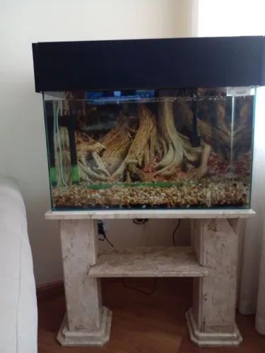 Vende se um aquario completo.