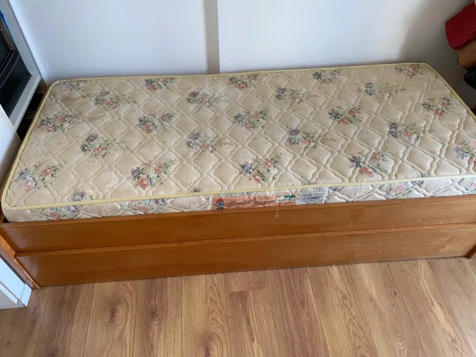 Bi-Cama