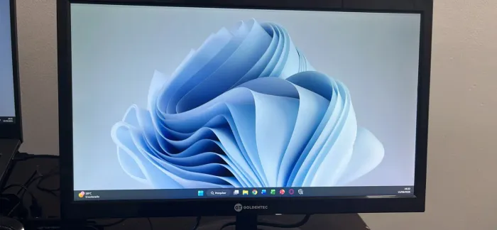 Monitor 19,5