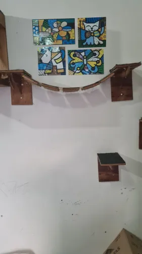 Casa de gatos