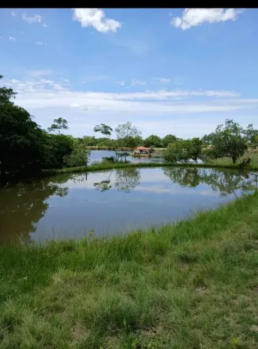 Fazenda 17,5 Alqueires goiano 