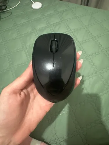 Mouse HP