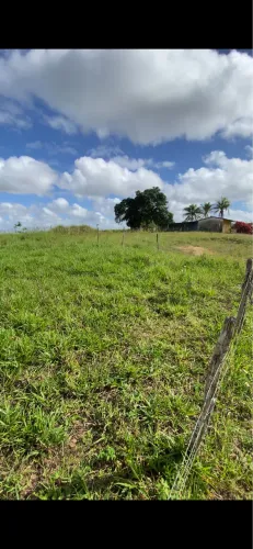 Vende-se terreno povoado Gameleiro