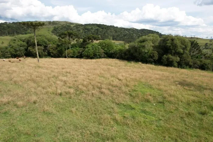 Chácara a venda em Urupema Santa Catarina