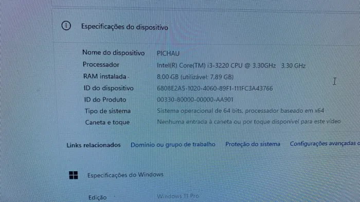 CPU + MONITOR PICHAU