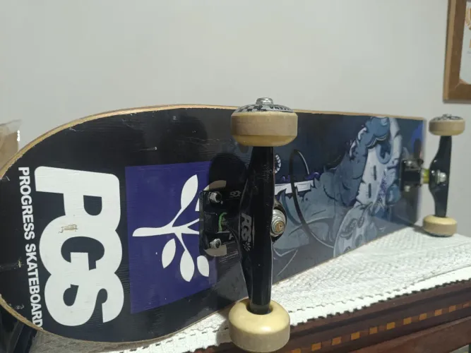 SKATE PGS