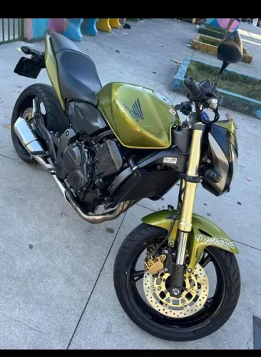 hornet 600