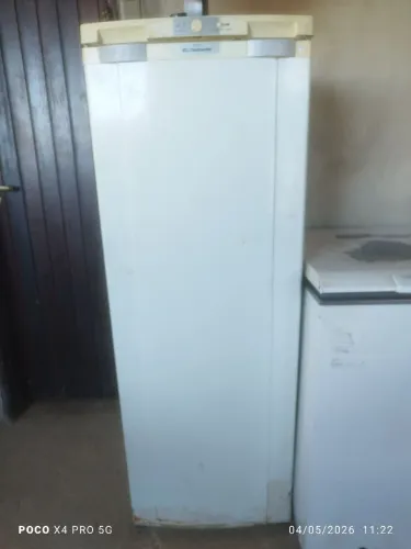 Freezer vertical 