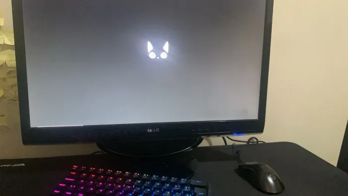 Monitor LG 60Hz 24'