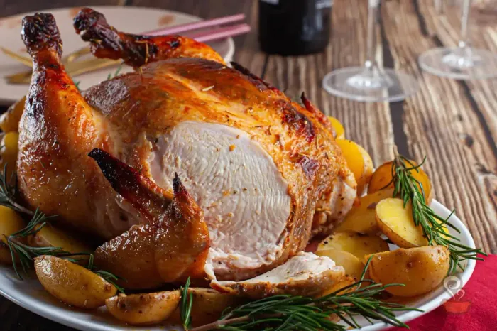 PROCURO UM ASSADOR DE FRANGO QUE TENHA EXPERIÊNCIA