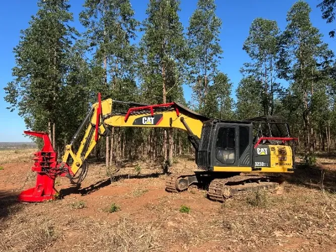 Serviço de feller e skidder