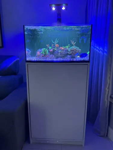 Aquário marinho completo 