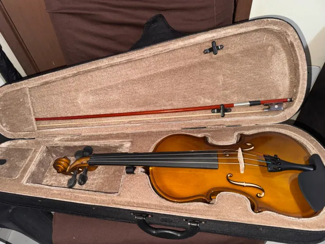 VIOLINO DOMINANTE 4/4 ESPECIAL C/ ESTOJO