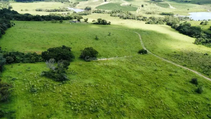 Excelente fazenda de 33 alqueires, ideal para criação de gado, cultivo e investimento rura