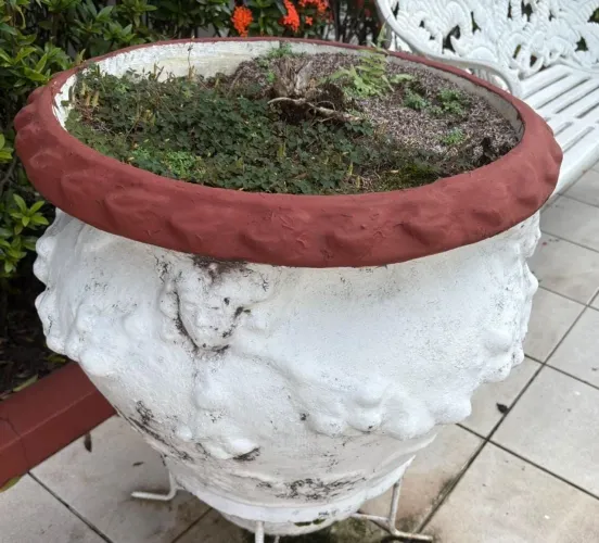 Vaso de plantas grande