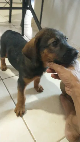 Doação