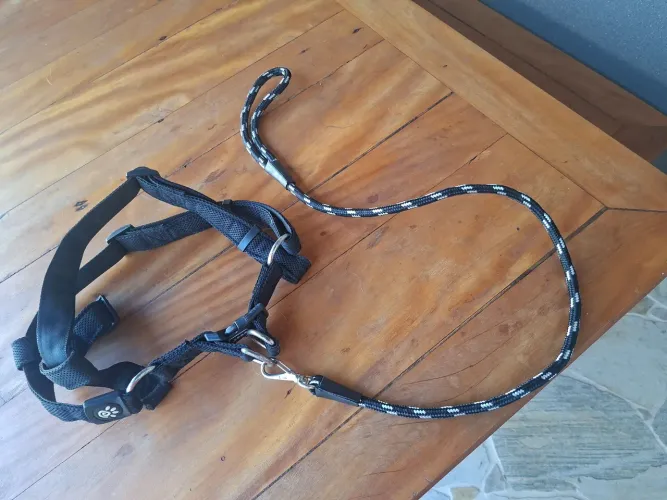 Peitoral Ajustável para Golden Retriever com Guia Reforçada