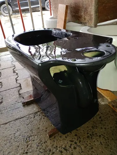 Vaso roca celite sanitário
