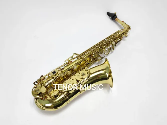 Sax Alto Yanagisawa Prima Japan Semi-novo