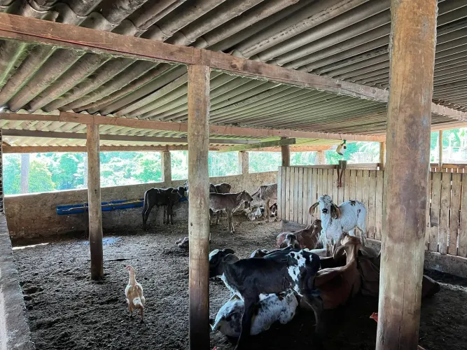 Vendo Fazenda no municipio de Perdizes/MG