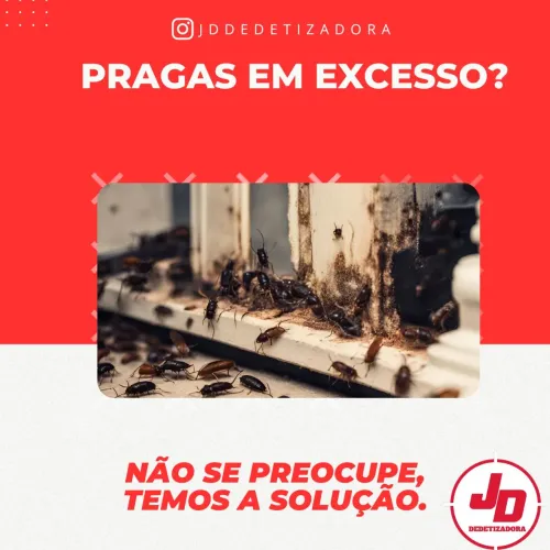 Dedetização em geral
