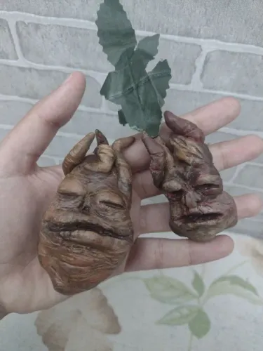 Duas mandrágoras estilo realista ou Harry Potter em biscuit