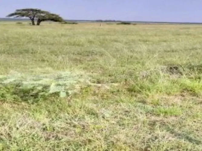 Área Rural 38 ha - Uruguaiana-RS - Imbaá - Zona Rural