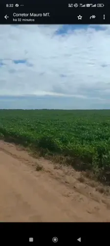 Fazenda de arrendamento 2.500 hec, 1.000 plantando em aruanã Go.