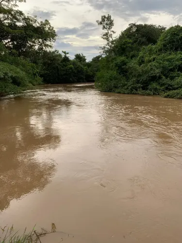 Sítio de 8 alqueires com 1.500 metros rio turvo palmeuna-GO