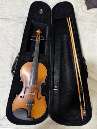 VIOLINO 4x4!