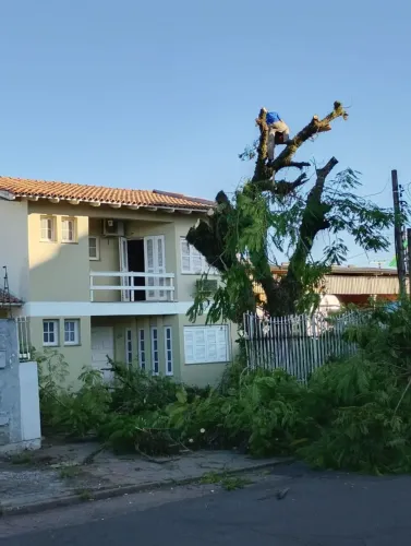 Poda de árvore e limpeza de terrenos em geral 