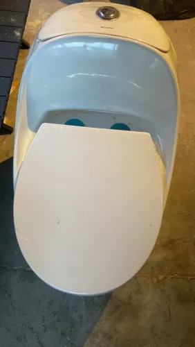 Vaso sanitário monobloco Gowff