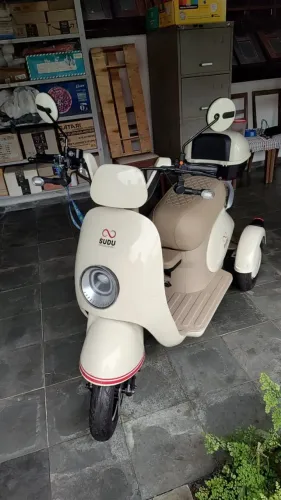 Triciclo SUDU A3T 800W