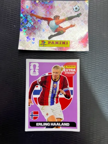 ERLING HAALAND