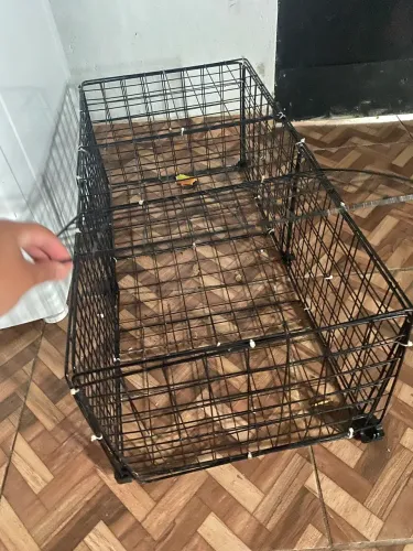 Gaiola feita em casa 