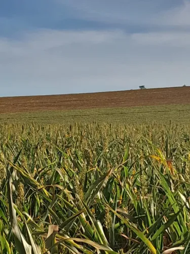 fazenda em conquista m.g 325 hectares 28.000.000.00 ( a - ugu )