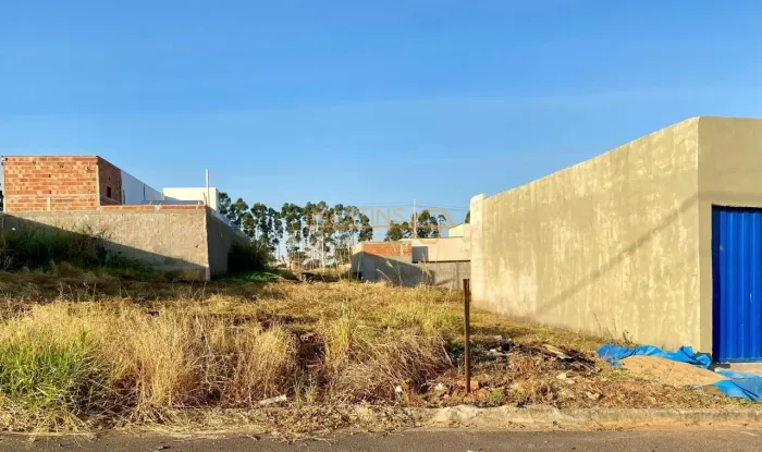 Terreno à venda no bairro Bela Vista - Araguari/MG