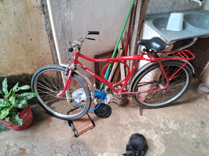 Vendo essa bicicleta monarque 