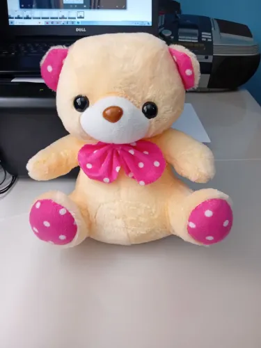 Urso de Pelúcia Raridade usado em boas condições