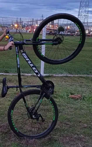 Bicicleta lotus