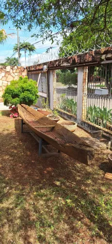 Canoa indígena