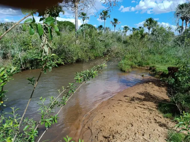 Área Rural Para venda no Monte Alegre