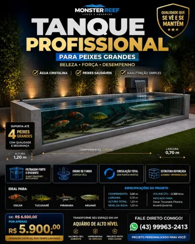 Tanque de Peixes Profissional com Visor de Vidro - Projeto Completo